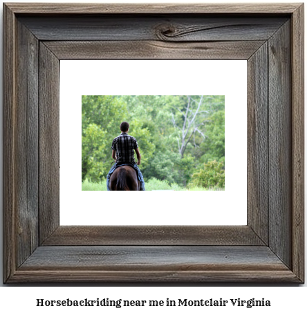 horseback riding near me in Montclair, Virginia